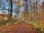 Waldspaziergang